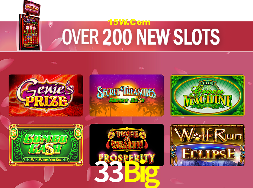 Bonus Features 33Big